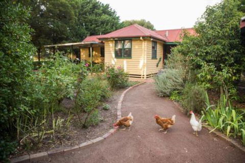 Malakai Farm Stay - Accommodation Mooloolaba 2