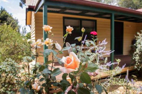 Malakai Farm Stay - Accommodation Mooloolaba 3