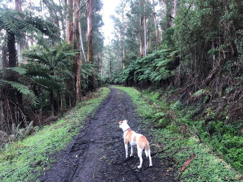 Warby Weekender - Accommodation Mooloolaba 6