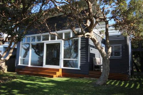 SEA URCHIN - Accommodation Mooloolaba 0