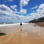 Arena Luxury Beachfront Apartment - Accommodation Mooloolaba 0