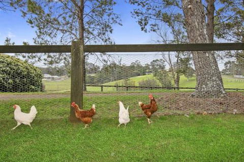 TINY HOME......BIG Views - Accommodation Mooloolaba 6