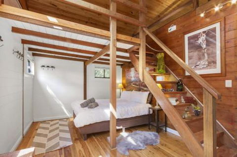 BLUE APPLE LODGE - Accommodation Mooloolaba 4