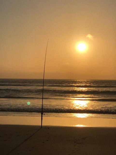 Relaxarna - Accommodation Mooloolaba 2