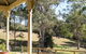 The Willows At Kurrajong - thumb 3