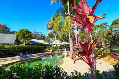 Palms Studio Apartment At Raffetys Resort - Accommodation Mooloolaba 6