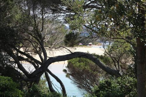 Albatross Unit 6 - Accommodation Mooloolaba 2