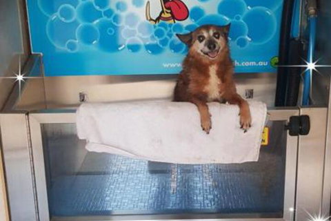 Apex RiverBeach Holiday Park - Accommodation Mooloolaba 4