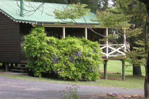 Madison's Mountain Retreat - Accommodation Mooloolaba 1
