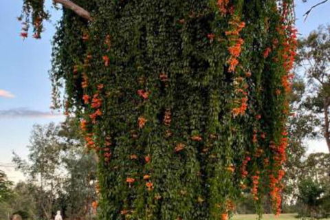 Amarina Farm Stay & Gardens - Accommodation Mooloolaba 6