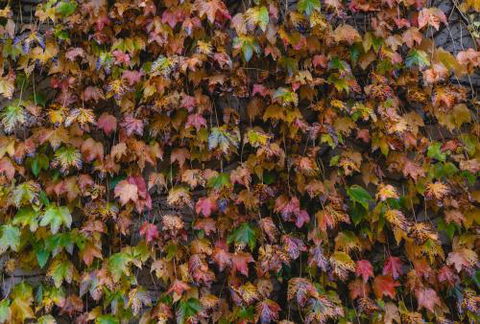 Killiorra - Accommodation Mooloolaba 1