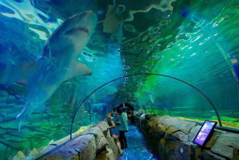 A Modern & Cozy Studio Next To Darling Harbour - Accommodation Mooloolaba 6