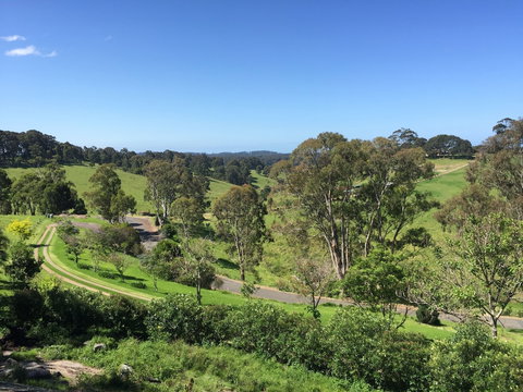 The Bryn At Tilba Family Cottage - Accommodation Mooloolaba 0