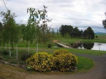 Buttercup Cottage & Private Apartment - Accommodation Mooloolaba 3