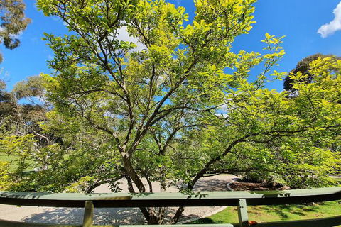 Annies Holiday Units - Accommodation Mooloolaba 2