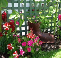 Albany Bayview Lodge YHA - Accommodation Mooloolaba