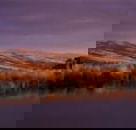 Wombat Hills Cottages - Accommodation Mooloolaba