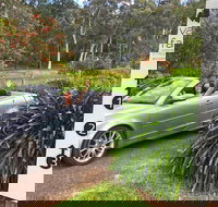 Valley Farm Vineyard Cottages - Accommodation Mooloolaba