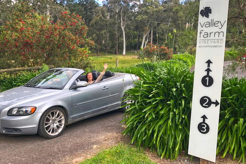 Valley Farm Vineyard Cottages - Accommodation Mooloolaba 0