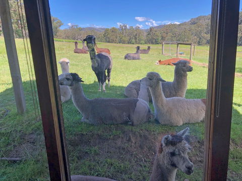 Valley Farm Vineyard Cottages - Accommodation Mooloolaba 2