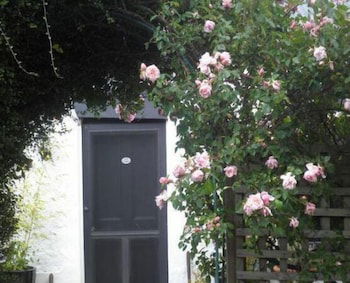 Ivy On Glenelg - Accommodation Mooloolaba 0