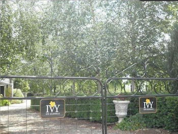 Ivy On Glenelg - Accommodation Mooloolaba 2