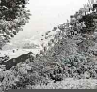 Alpenhorn - Accommodation Mooloolaba