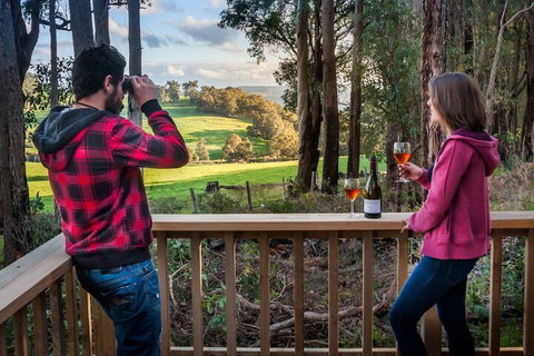 Balingup Heights Hilltop Forest Cottages - Accommodation Mooloolaba 7