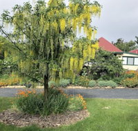 Hamlet Downs Country Accommodation - Accommodation Mooloolaba