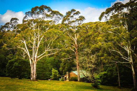 Ghost Hill Road Retreat - Accommodation Mooloolaba 6