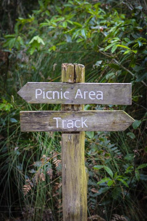 Ghost Hill Road Retreat - Accommodation Mooloolaba 5