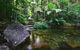 Daintree Cascades - thumb 2
