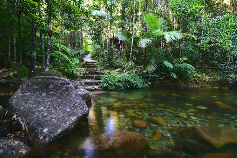 Daintree Cascades - Accommodation Mooloolaba 2