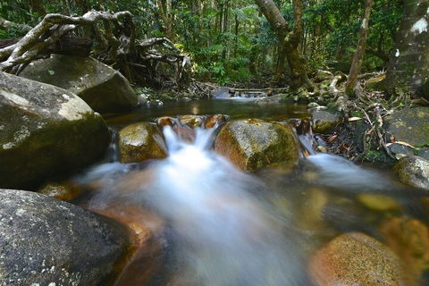 Daintree Cascades - Accommodation Mooloolaba 1