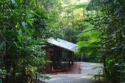 Daintree Cascades - Accommodation Mooloolaba 3