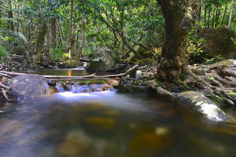 Daintree Cascades - Accommodation Mooloolaba 6