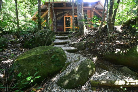 Daintree Cascades - Accommodation Mooloolaba 7