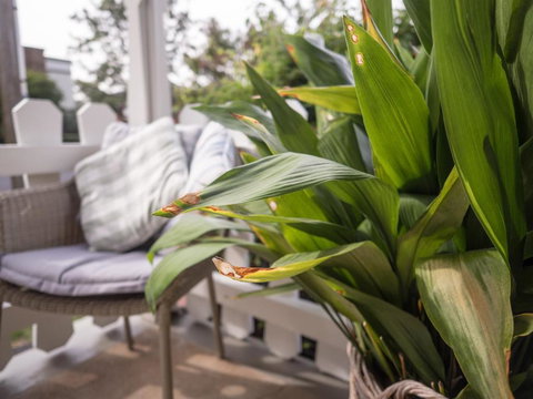Cottage 79 - Accommodation Mooloolaba 5