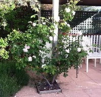 Ellesmere House - Accommodation Mooloolaba