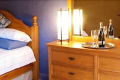 Forest Walks Lodge - Accommodation Mooloolaba 3