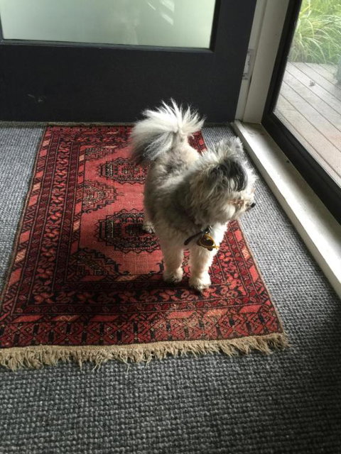 Petite Provence Cottage - Accommodation Mooloolaba 2