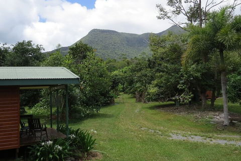 Cape Trib Farmstay - Accommodation Mooloolaba 5