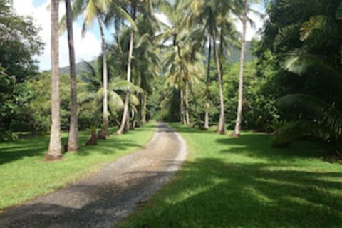 Cape Trib Farmstay - Accommodation Mooloolaba 0