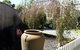 Creek Cottage Bed & Breakfast - thumb 4
