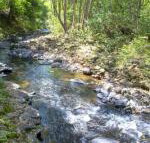 Tallaringa Views - Accommodation Mooloolaba