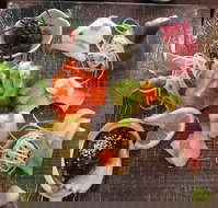 Toshi's Japanese Restaurant - Accommodation Mooloolaba