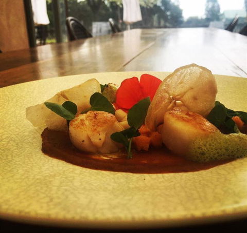 Au Pear - Accommodation Mooloolaba 8