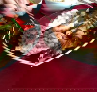 GalanGal - Accommodation Mooloolaba