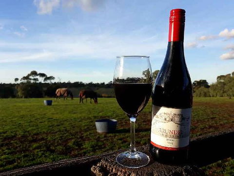 Arundel Farm Estate Winery - Accommodation Mooloolaba 0