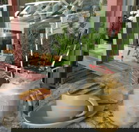 Binga  Mooch - Accommodation Mooloolaba